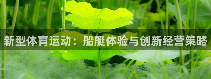 猎豹体育app官方入口