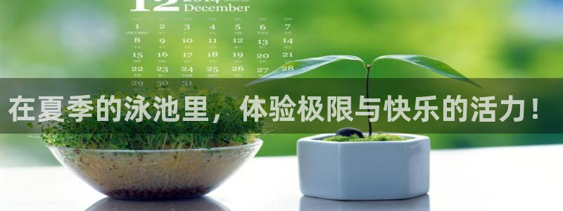 猎豹体育在线观看免费：在夏季的泳池里，体验极限与快乐的活力！