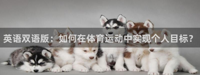 猎豹体育的英文：英语双语版：如何在体育运动中实现个人目标？