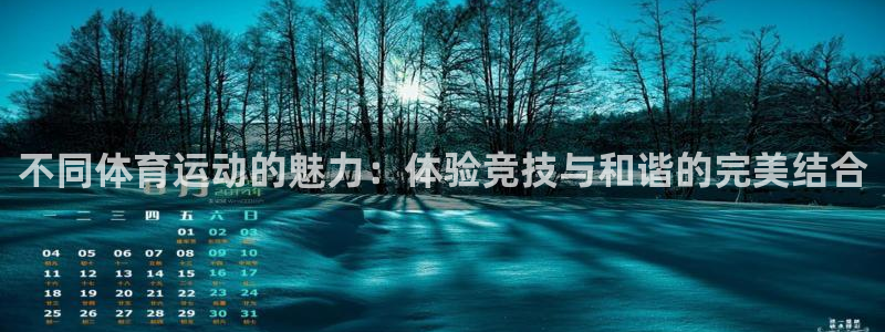 猎豹体育赛事直播