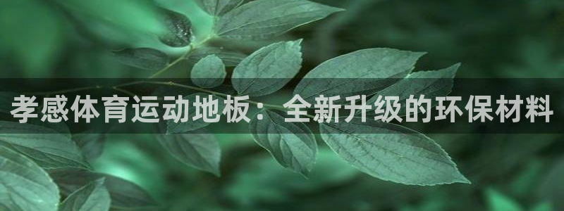猎豹体育app下载安装：孝感体育运动地板：全新升级的环保材料