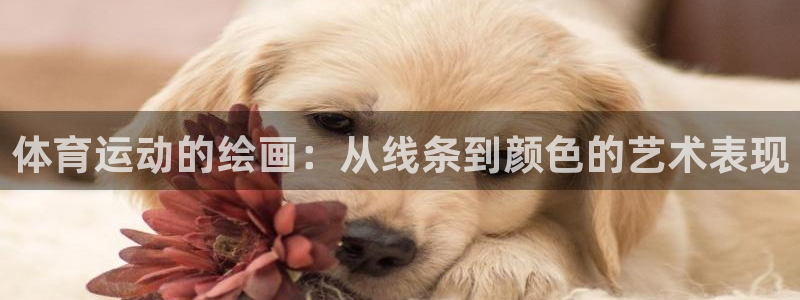 猎豹体育