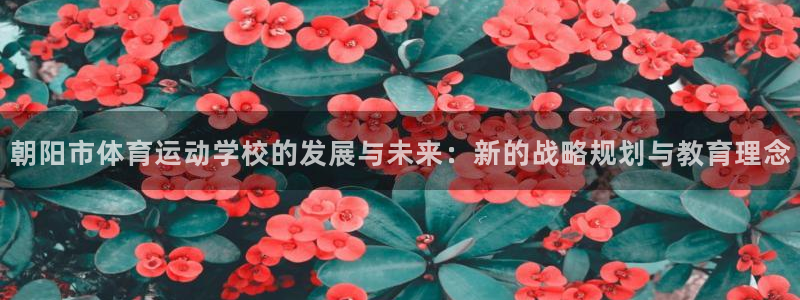 猎豹体育姜鑫