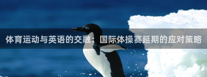 猎豹体育官方网站入口
