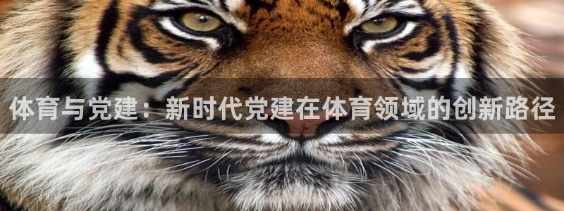 猎豹体育文化传播有限公司：体育与党建：新时代党建在体育领域的创新路径